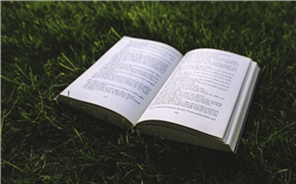Книжная любовь