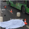Красноярцев просят помочь найти настоящего виновника гибели кидавшейся под машины женщины (видео)