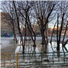 Красноярские дворы и дороги затопило после резкого потепления