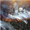 Гидромет впервые ожидает ранний пожароопасный сезон на Европейской территории России