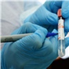 «Снова +8»: число заболевших коронавирусом в Хакасии выросло до 84