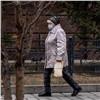 28-й день самоизоляции в Красноярском крае: коронавирусом болеют уже 449 человек
