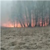 В Красноярском крае ищут поджигателя леса, из-за которого погиб мужчина в деревне Лукино (видео)