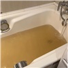Красноярцам объяснили причину мутной горячей воды в квартирах