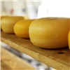 «Пахнет пряно и стоит недёшево»: красноярцам дали советы по выбору хорошего сыра