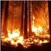 В Красноярском крае ликвидировали несколько крупных лесных пожаров
