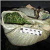 В Канске у молодого водителя изъяли более 4 килограммов марихуаны