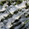 Ночью в Красноярске обещают первый снег и заморозки
