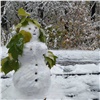 «Уже формируется ранний снежный покров»: федеральные синоптики рассказали о погоде в Красноярском крае 