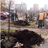 «Болит сердце»: в центре Красноярска вырубили розовые яблони 