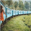 На Шри-Ланке красноярская туристка хотела сделать фото и выпала из поезда