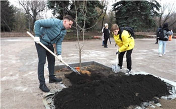 «Весной зацветёт»: какие новые деревья будут встречать красноярцев у входа в Центральный парк