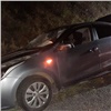 На трассе в Красноярском крае легковушка сбила выбежавшую на дорогу лосиху