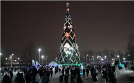 Новогодняя елка в Красноярске обойдется бюджету в 16 млн рублей