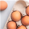 Россия ждет более миллиарда куриных яиц из Казахстана