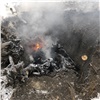Бездомных собак убивали и сжигали вместо их содержания на севере Красноярского края 