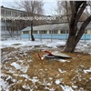 Красноярцев напугали планы по строительству вышек сотовой связи рядом со школами в Солнечном