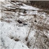 Два трупа нашли около красноярской БСМП