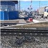 Поезд сбил велосипедиста на западе Красноярского края 