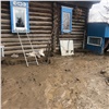 «Всё затопило. Болото»: прокуратура показала последствия паводка в Краснотуранском районе (видео)