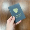 Минтруд России сократил список профессий для упрощенного получения ВНЖ с 203 до 29