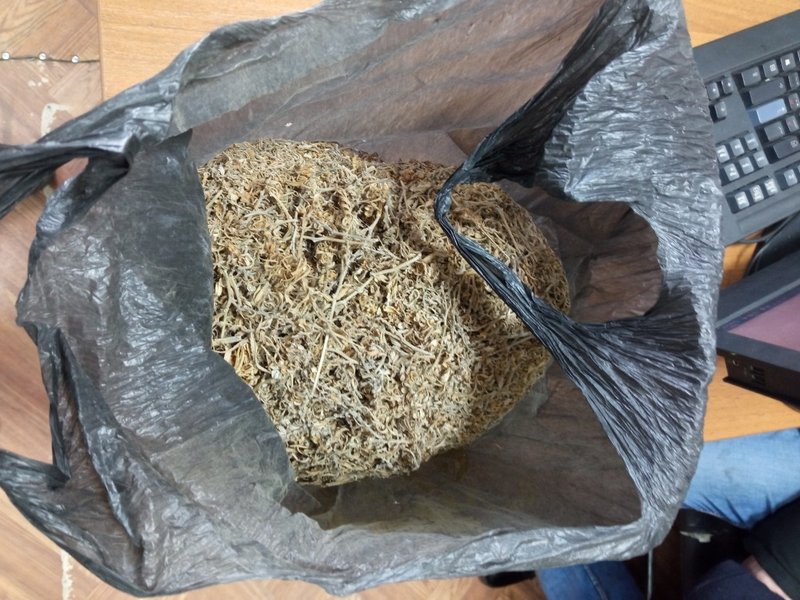 Марихуану на пхукете Марихуану на пхукете коноплю можно будет курить легко
